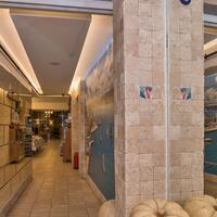 Genel Görünüm Galerisi