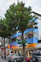 Genel Görünüm Galerisi