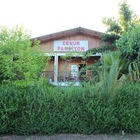 Genel Görünüm Galerisi