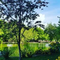 Otel Olanakları Galerisi