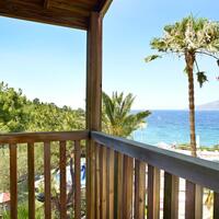 Oda Özellikleri Galerisi