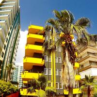 Genel Görünüm Galerisi