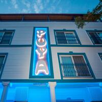 Genel Görünüm Galerisi