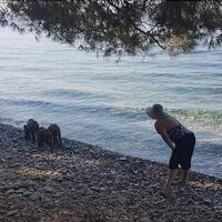 Havuz & Plaj Galerisi