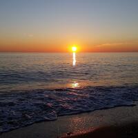 Havuz & Plaj Galerisi