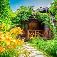 Genel Görünüm Galerisi