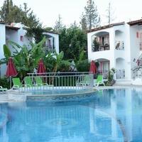 Genel Görünüm Galerisi