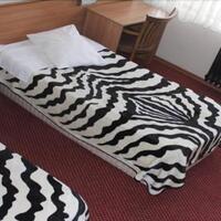 Oda Özellikleri Galerisi