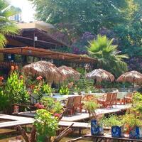 Genel Görünüm Galerisi