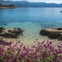 Havuz & Plaj Galerisi