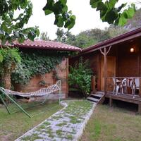 Genel Görünüm Galerisi