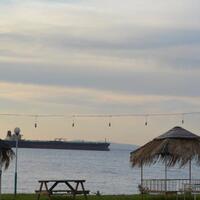 Havuz & Plaj Galerisi