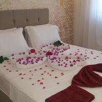 Oda Özellikleri Galerisi