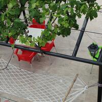 Genel Görünüm Galerisi