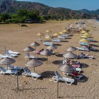 Havuz & Plaj Galerisi