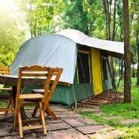 Genel Görünüm Galerisi