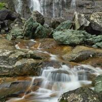 Genel Görünüm Galerisi