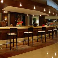 Müzik & Eğlence Galerisi