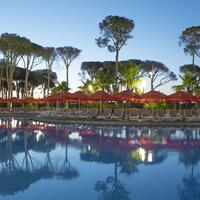 Havuz & Plaj Galerisi