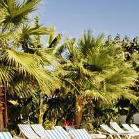 Havuz & Plaj Galerisi