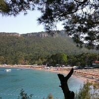 Havuz & Plaj Galerisi