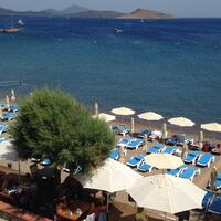 Havuz & Plaj Galerisi