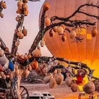 Oda Özellikleri Galerisi