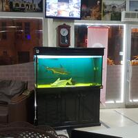 Otel Olanakları Galerisi