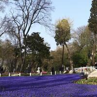 Havuz & Plaj Galerisi