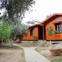 Genel Görünüm Galerisi