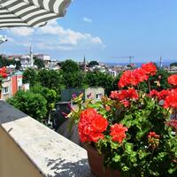 Genel Görünüm Galerisi