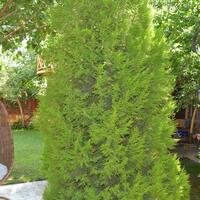 Otel Olanakları Galerisi