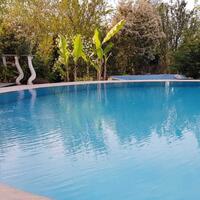 Havuz & Plaj Galerisi