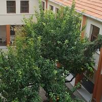 Genel Görünüm Galerisi