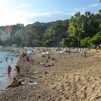 Havuz & Plaj Galerisi