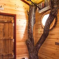 Oda Özellikleri Galerisi