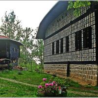 Genel Görünüm Galerisi