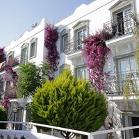 Genel Görünüm Galerisi