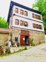 Genel Görünüm Galerisi