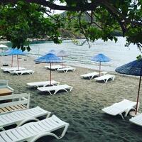 Havuz & Plaj Galerisi