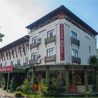 Genel Görünüm Galerisi