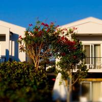 Oda Özellikleri Galerisi