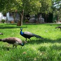 Bahçe & Oturma Alanları Galerisi