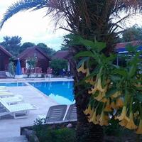 Havuz & Plaj Galerisi