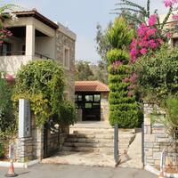 Genel Görünüm Galerisi