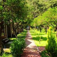 Bahçe & Oturma Alanları Galerisi