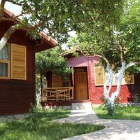 Genel Görünüm Galerisi