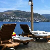 Havuz & Plaj Galerisi