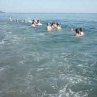 Havuz & Plaj Galerisi