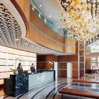 Lobi & Oturma Alanları Galerisi